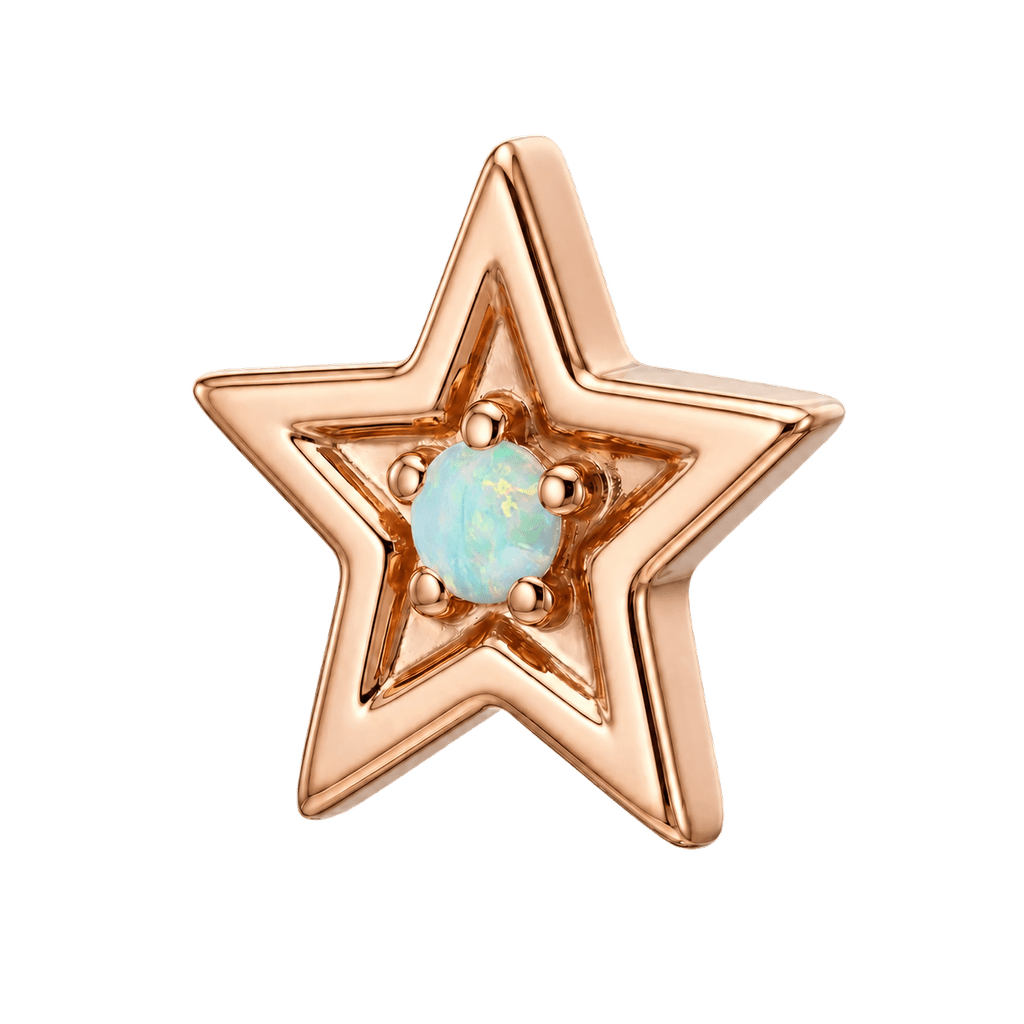 Shining Star - 14K Gold Threadless/Threaded - piercing-zone.com