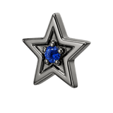 Shining Star - 14K Gold Threadless/Threaded - piercing-zone.com