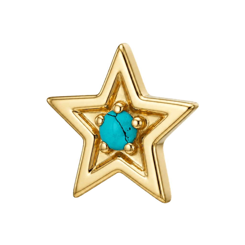 Shining Star - 14K Gold Threadless/Threaded - piercing-zone.com