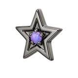 Shining Star - 14K Gold Threadless/Threaded - piercing-zone.com