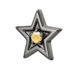 Shining Star - 14K Gold Threadless/Threaded - piercing-zone.com