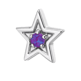 Shining Star - 14K Gold Threadless/Threaded - piercing-zone.com