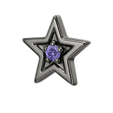 Shining Star - 14K Gold Threadless/Threaded - piercing-zone.com