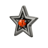 Shining Star - 14K Gold Threadless/Threaded - piercing-zone.com