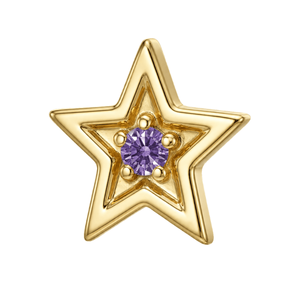 Shining Star - 14K Gold Threadless/Threaded - piercing-zone.com