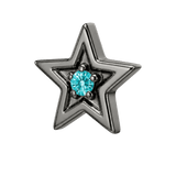 Shining Star - 14K Gold Threadless/Threaded - piercing-zone.com