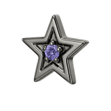 Shining Star - 14K Gold Threadless/Threaded - piercing-zone.com