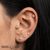 Shining Star - 14K Gold Threadless/Threaded - piercing - zone.com