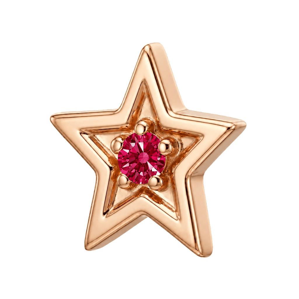 Shining Star - 14K Gold Threadless/Threaded - piercing-zone.com