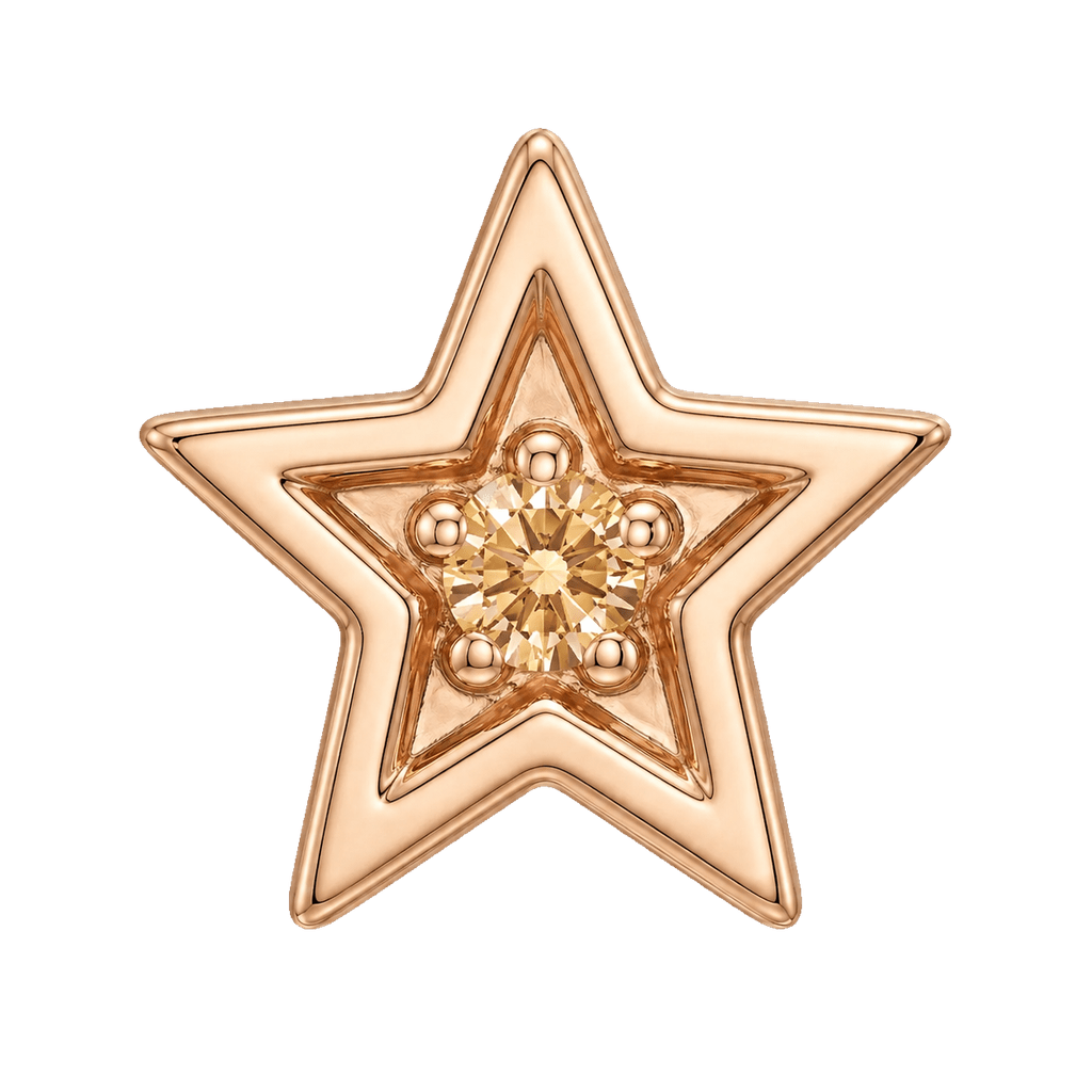 Shining Star - 14K Gold Threadless/Threaded - piercing-zone.com