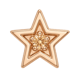 Shining Star - 14K Gold Threadless/Threaded - piercing-zone.com