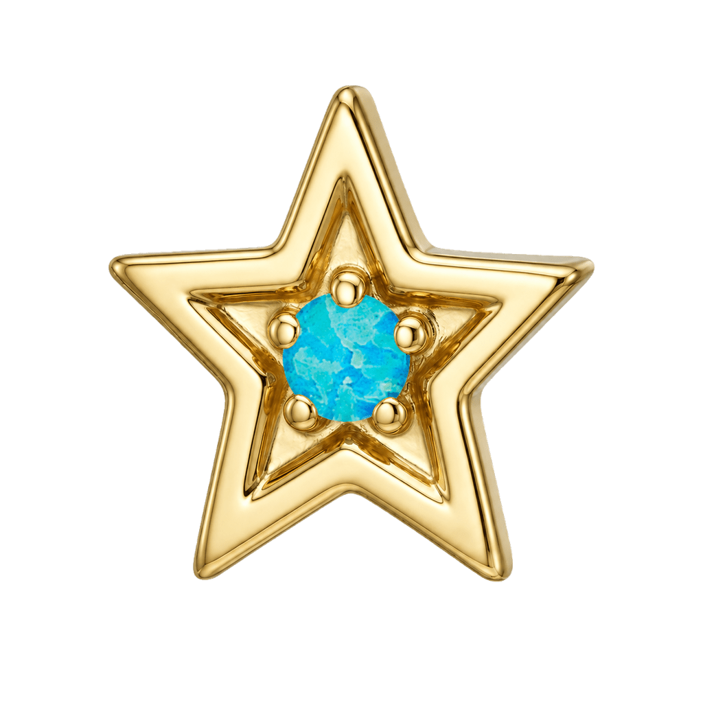 Shining Star - 14K Gold Threadless/Threaded - piercing-zone.com
