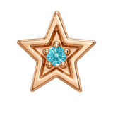 Shining Star - 14K Gold Threadless/Threaded - piercing-zone.com