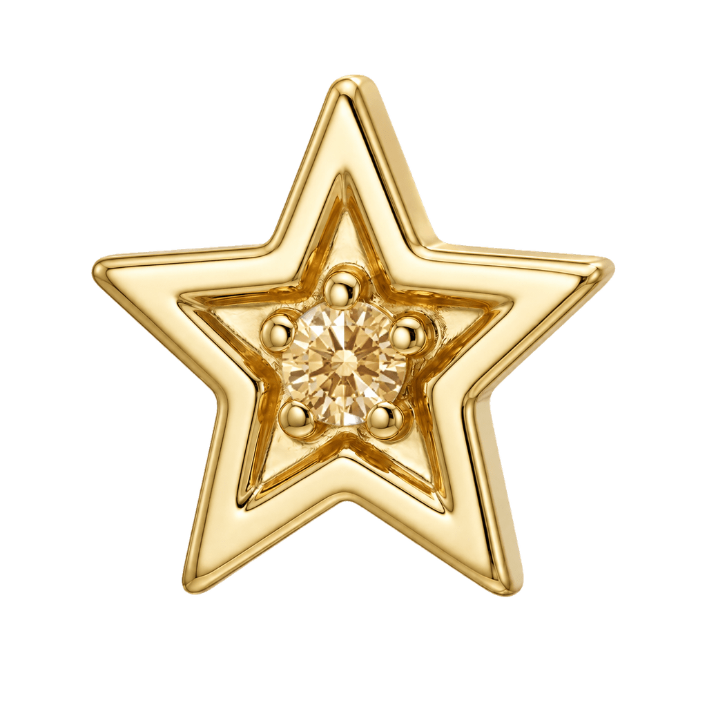 Shining Star - 14K Gold Threadless/Threaded - piercing-zone.com