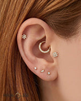 Showcase – CZ Pavé – 14K Gold Clicker Ring - piercing - zone.com