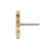 Skele Cat – 14K Gold Threadless/Threaded End - piercing - zone.com
