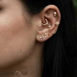 Skull – 14K Gold Threadless & Threaded End - piercing - zone.com