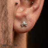 Skull and Bones – 14K Gold Threadless/Threaded End - piercing - zone.com