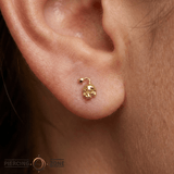 Skull Bomb - 18K Gold Threadless End - piercing-zone.com