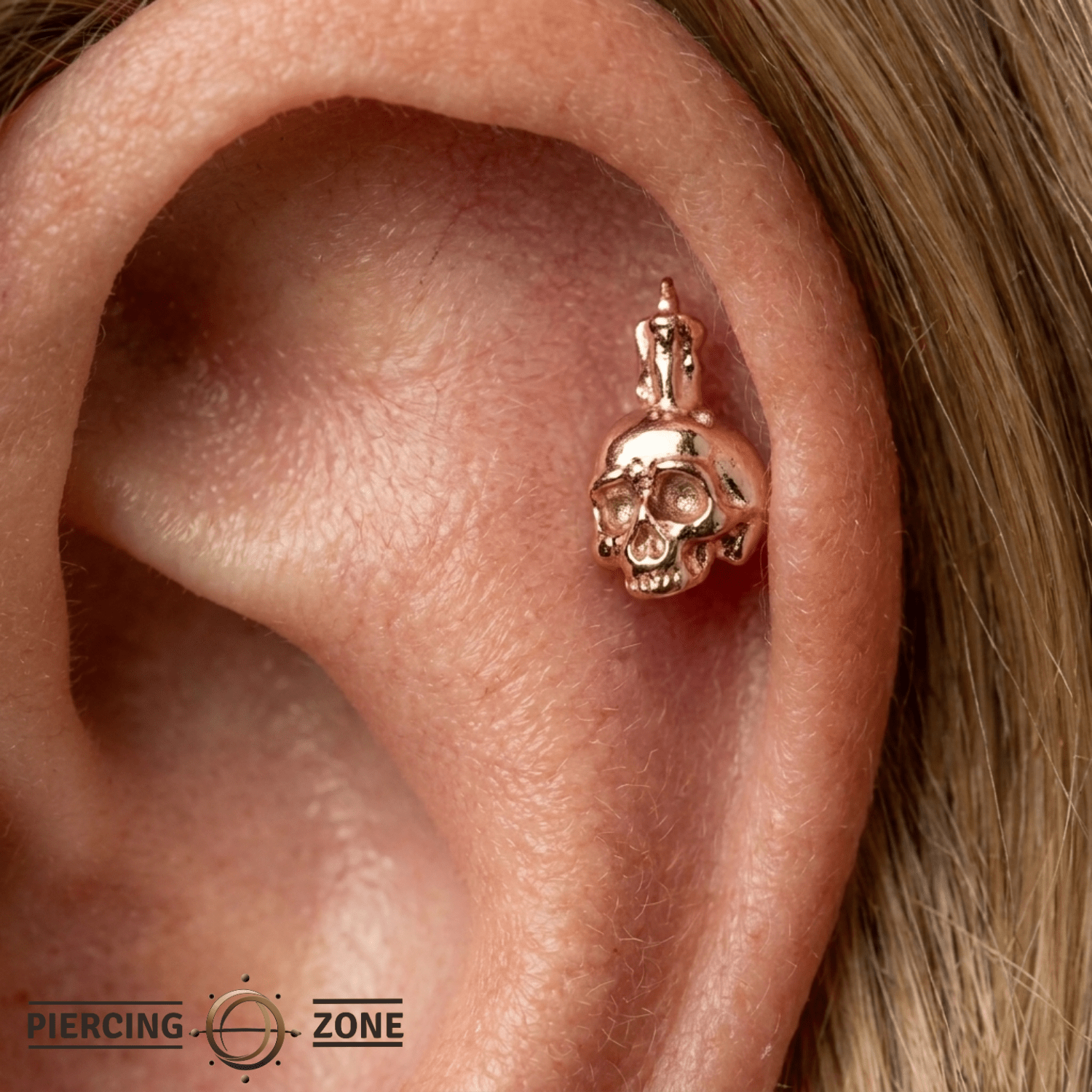 Skull Candle - 18K Gold Threadless/Threaded End - piercing-zone.com