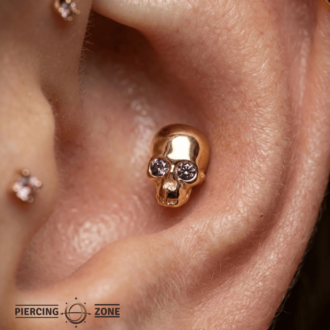 Skull with Gems – 14K Gold Threadless/Threaded End - piercing - zone.com