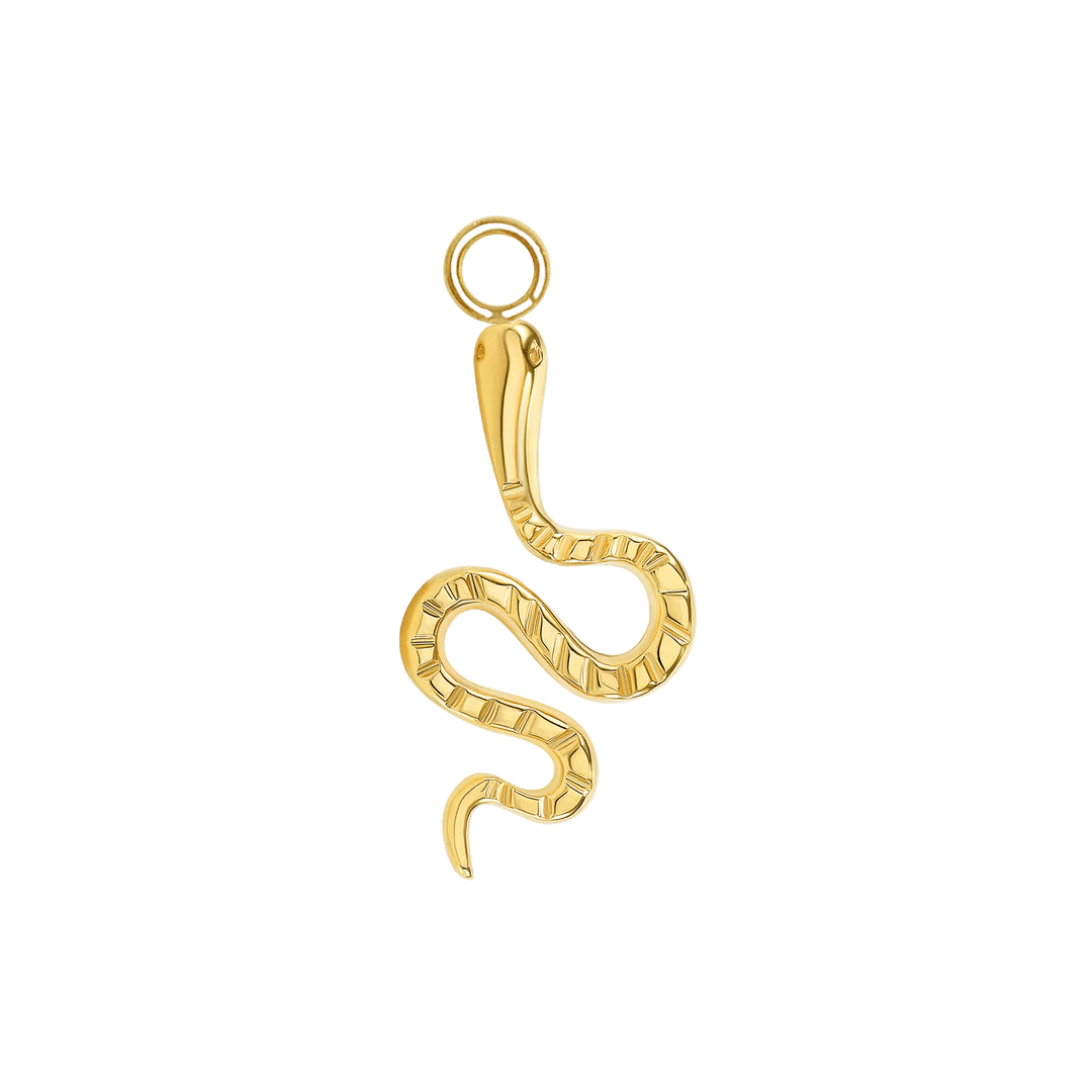 Snake Charm – 14K Gold Dangle - piercing - zone.com