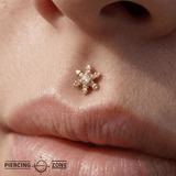 Snowflake - 14K Gold Threadless/Threaded - piercing - zone.com