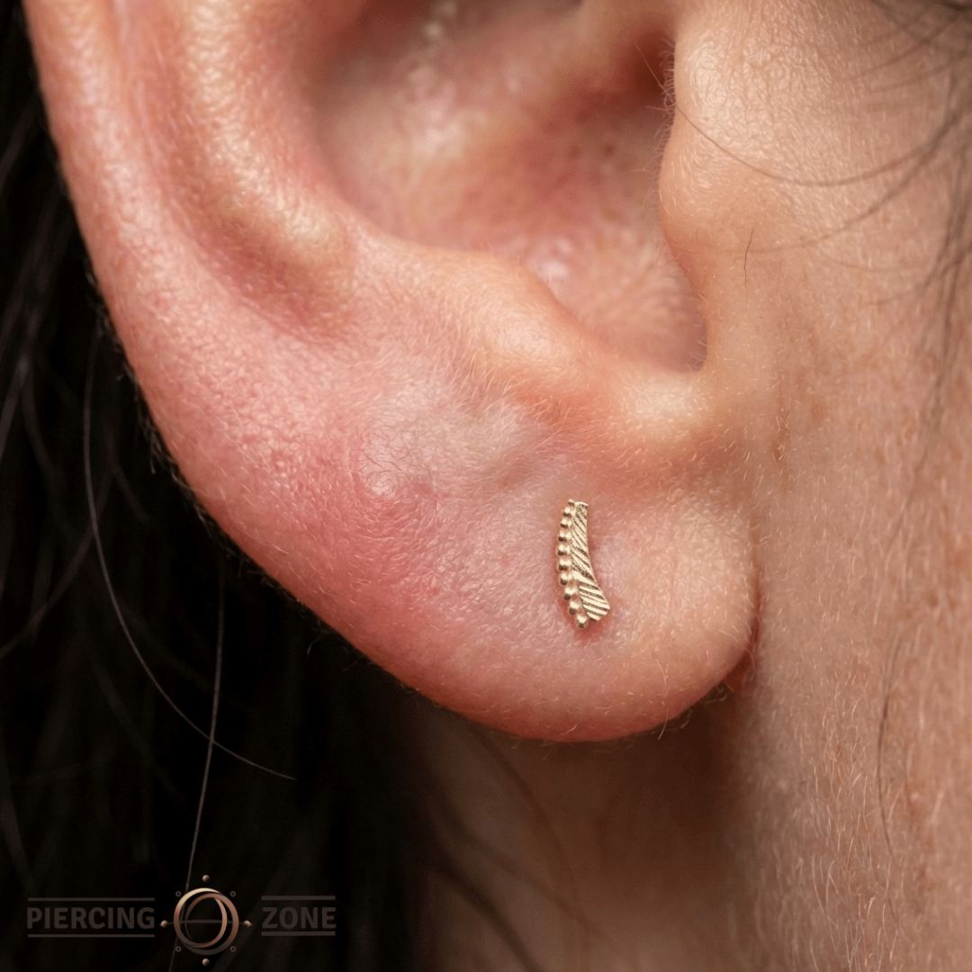 Soar – 14K Gold Threadless End - piercing - zone.com