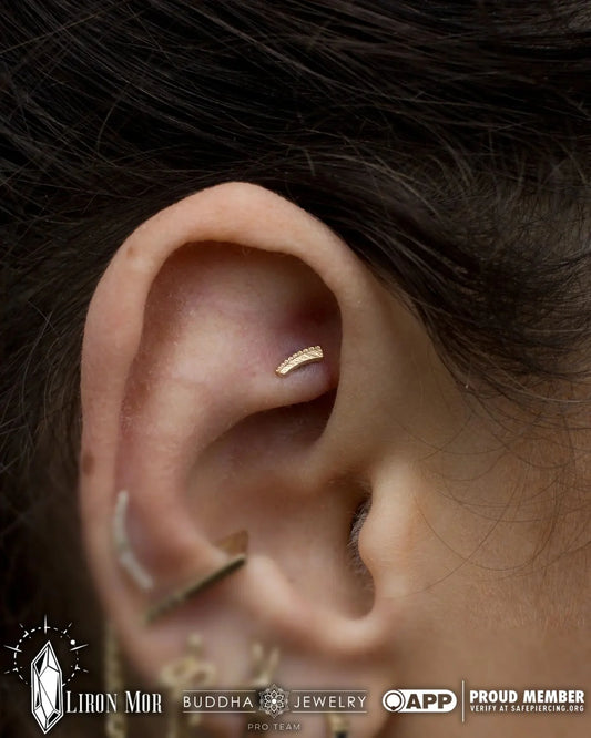 SOAR - THREADLESS END piercing-zone.com