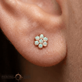 Solange – 14K Gold Opal Flower Cluster Threadless End - piercing - zone.com