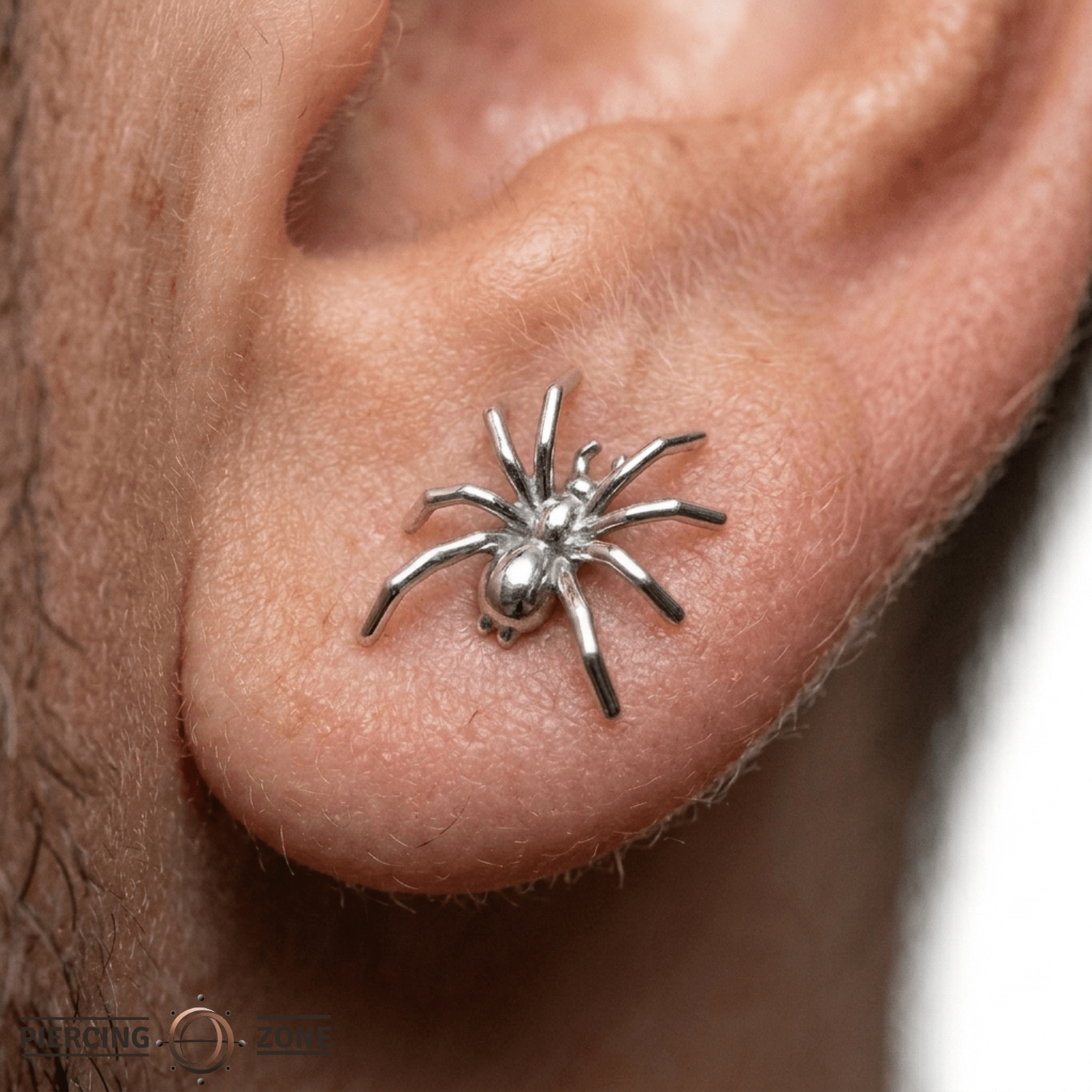 Spider – 14K Gold Threadless Pin - piercing - zone.com