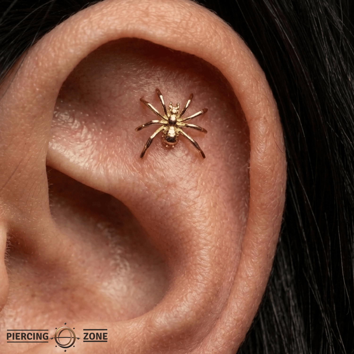 Spider – 14K Gold Threadless Pin - piercing - zone.com