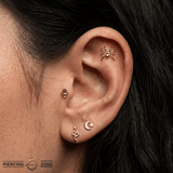 Spider – 14K Gold Threadless Pin - piercing - zone.com