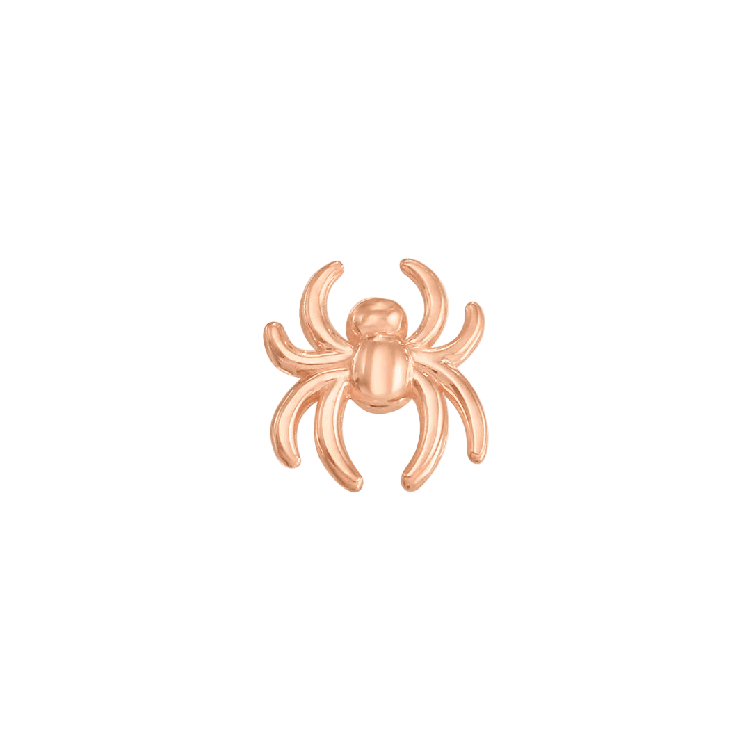 Spider – 14K Gold Threadless & Threaded End - piercing - zone.com