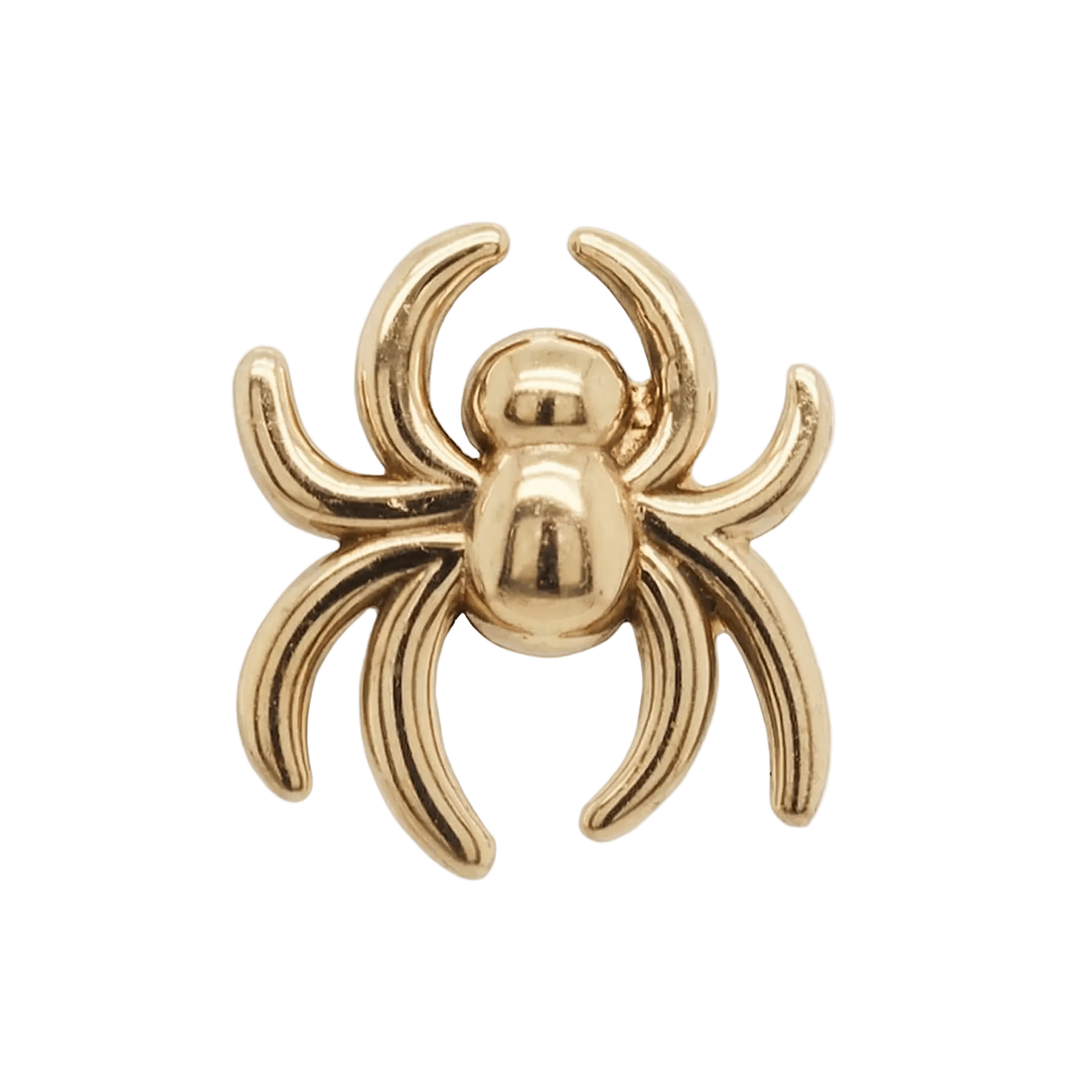 Spider – 14K Gold Threadless/Threaded End - piercing - zone.com