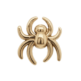 Spider – 14K Gold Threadless/Threaded End - piercing - zone.com