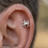 Spider – 14K Gold Threadless/Threaded End - piercing - zone.com