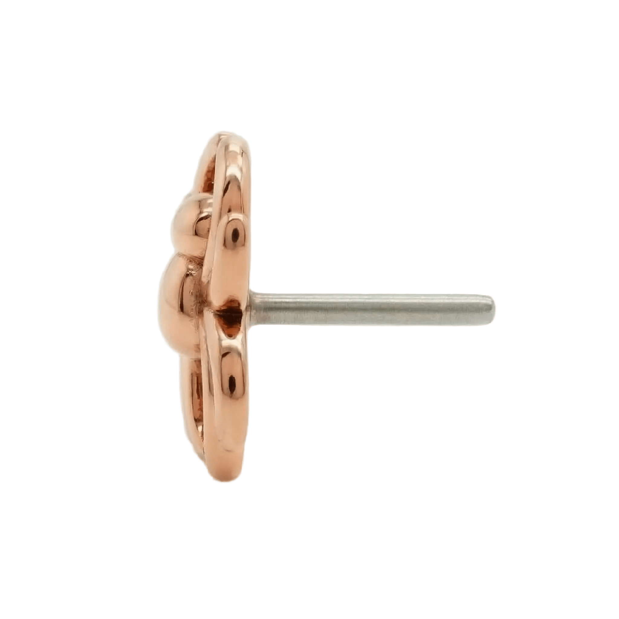 Spider – 14K Gold Threadless/Threaded End - piercing - zone.com