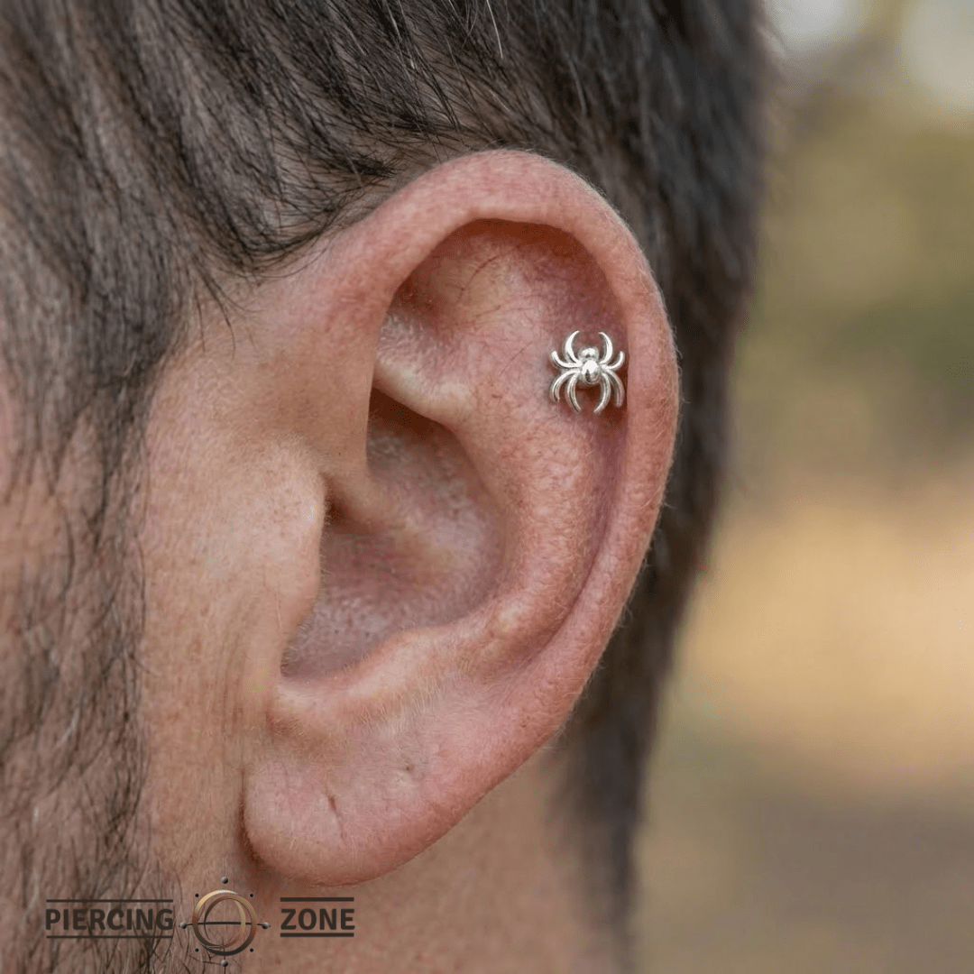 Spider – 14K Gold Threadless/Threaded End - piercing - zone.com