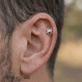 Spider – 14K Gold Threadless/Threaded End - piercing - zone.com
