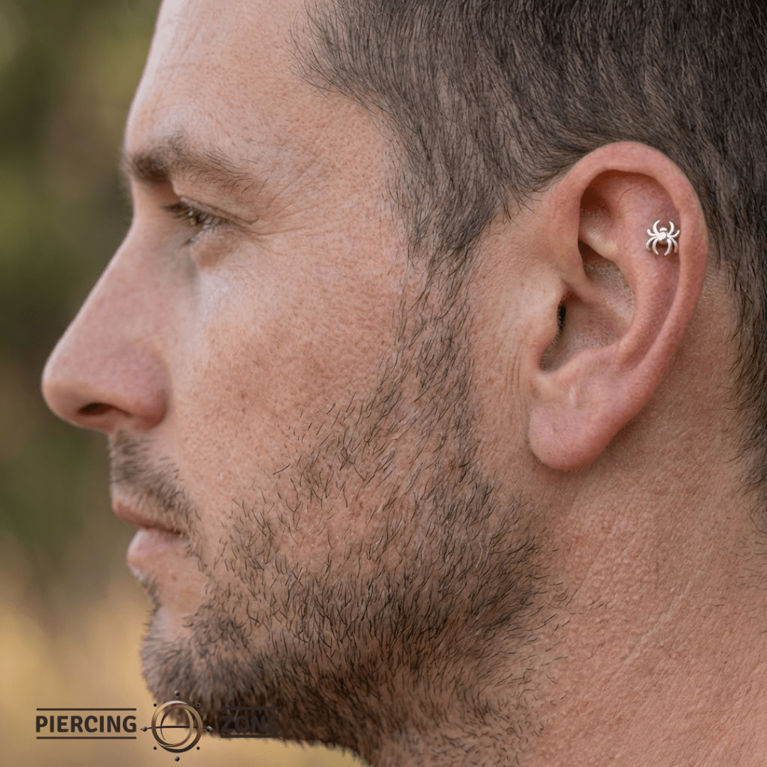 Spider – 14K Gold Threadless/Threaded End - piercing - zone.com