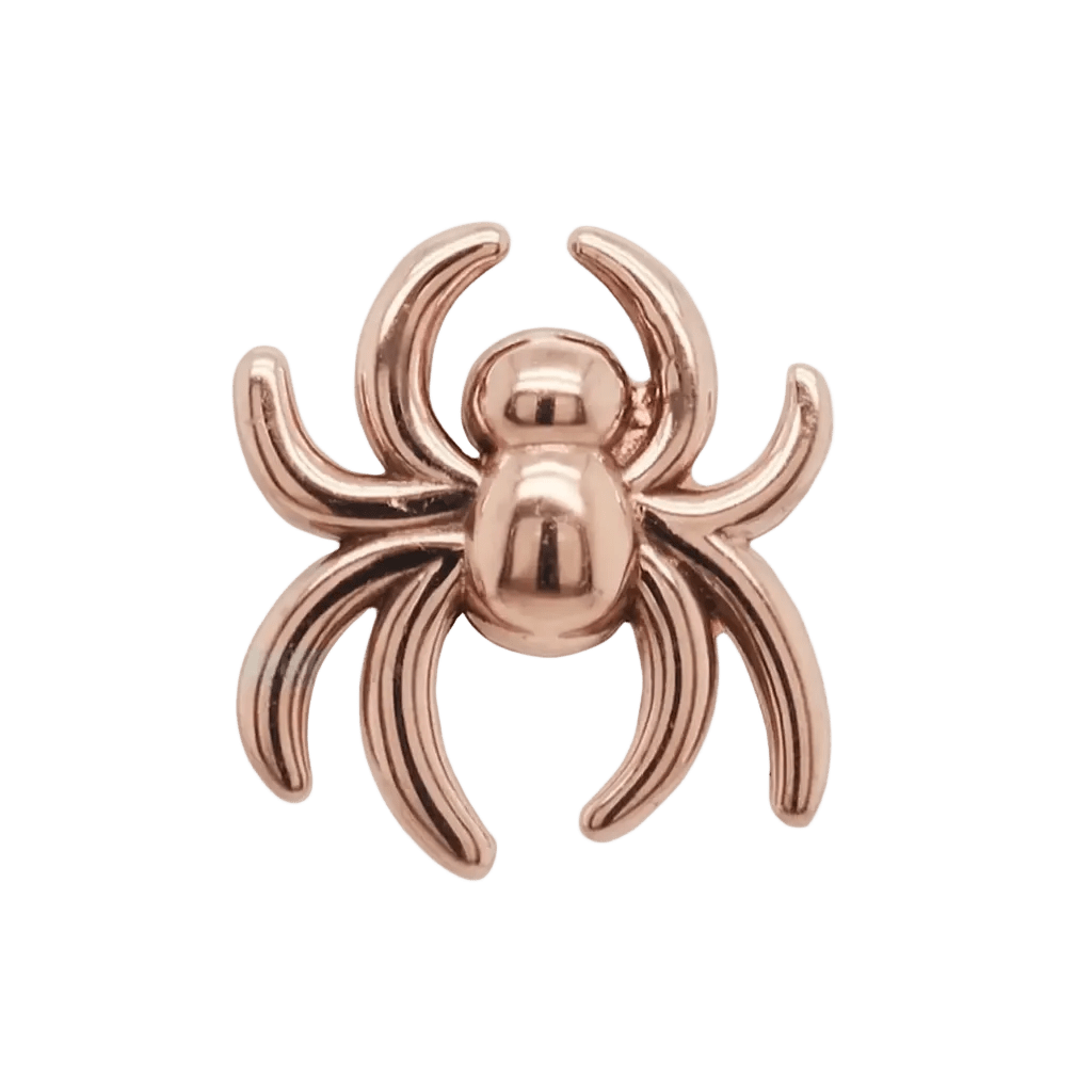 Spider – 14K Gold Threadless/Threaded End - piercing - zone.com