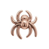 Spider – 14K Gold Threadless/Threaded End - piercing - zone.com