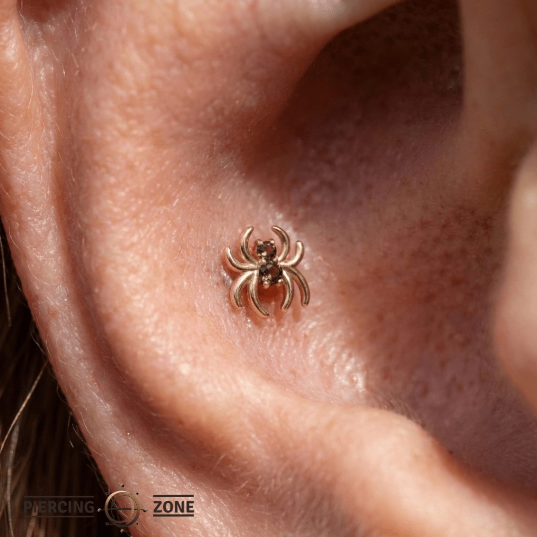 Spider with Gems – 14K Gold Threadless/Threaded End - piercing - zone.com