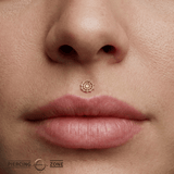 SpiderWeb – 14K Gold Threadless/Threaded End - piercing - zone.com
