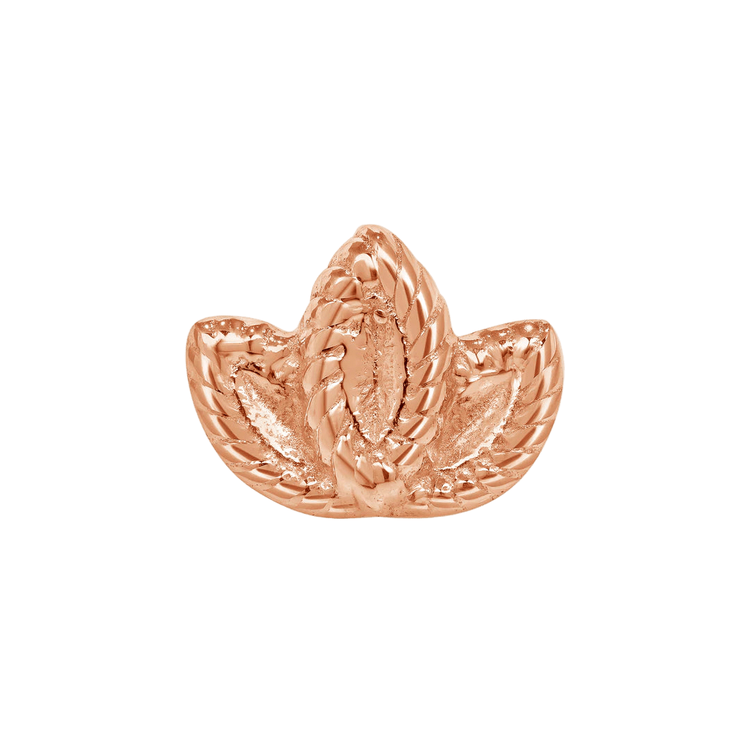 Sprout – 14K Gold Threadless & Threaded End - piercing - zone.com
