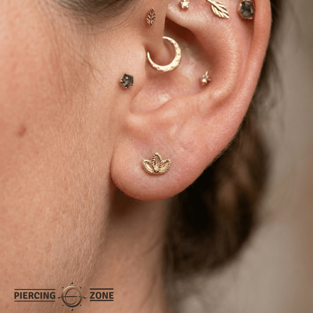 Sprout – 14K Gold Threadless/Threaded End - piercing - zone.com