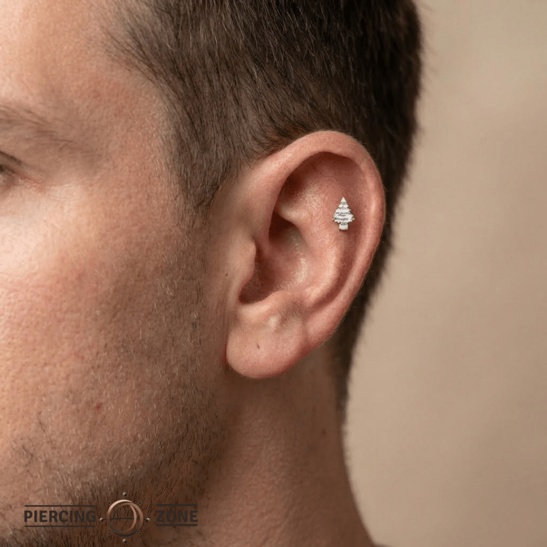 Spruce – 14K Gold Threadless/Threaded End - piercing - zone.com