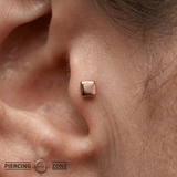Square – 14K Gold Threadless/Threaded End - piercing - zone.com
