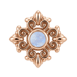 Square Elegance - 14K Gold Threadless/Threaded - piercing-zone.com